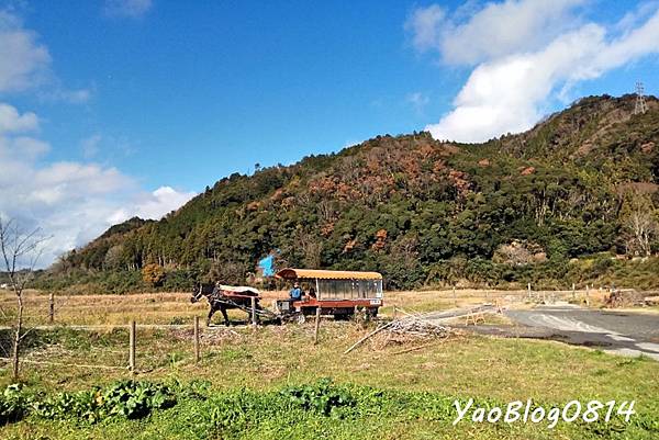 嵐山小火車 (8)