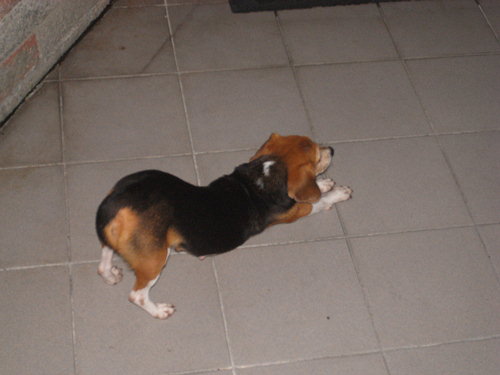 R0012475.JPG R0012475.JPG