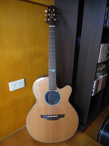 Takamine 木吉他