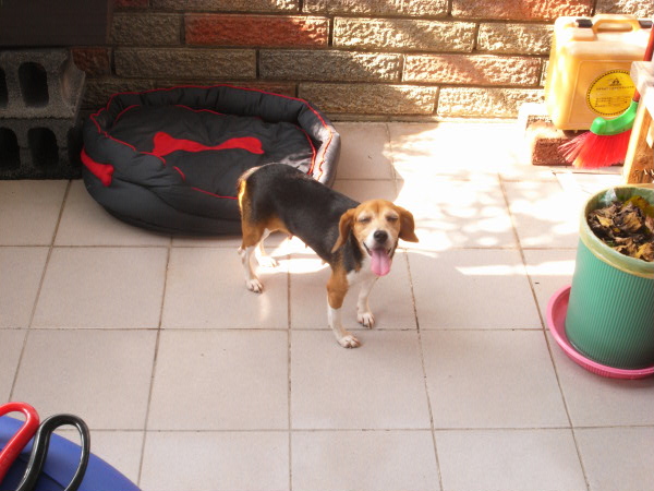 R0014068.JPG R0014068.JPG