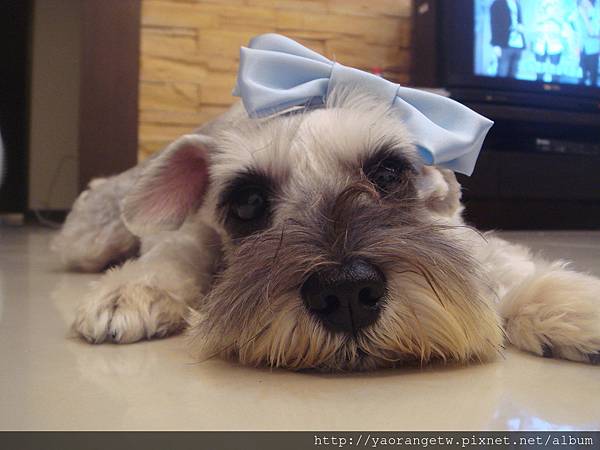 DSC00273.JPG DSC00273.JPG