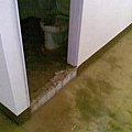 高雄 通馬桶