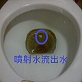 高雄 通馬桶