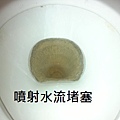 高雄 通馬桶