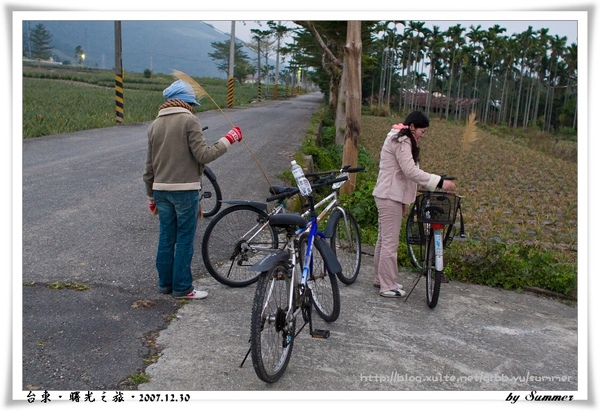 鹿野041.jpg