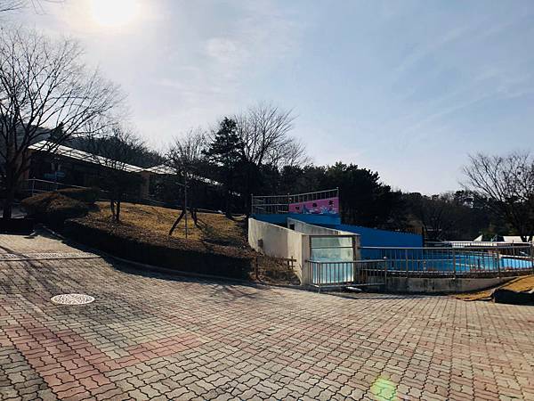 2024二訪 玩旅遊l韓國 清州 動物園/親子一日遊 兒童館