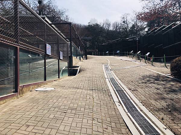 2024二訪 玩旅遊l韓國 清州 動物園/親子一日遊 兒童館