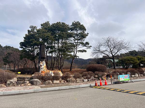 2024二訪 玩旅遊l韓國 清州 動物園/親子一日遊 兒童館