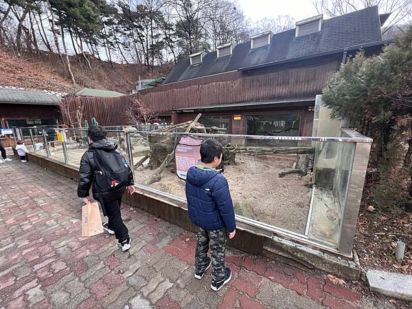 2024二訪 玩旅遊l韓國 清州 動物園/親子一日遊 兒童館