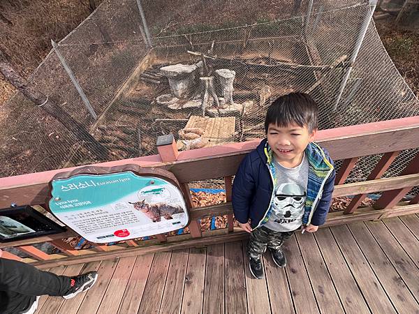 2024二訪 玩旅遊l韓國 清州 動物園/親子一日遊 兒童館