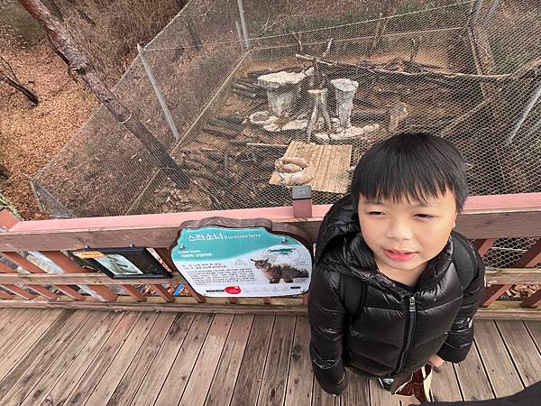 2024二訪 玩旅遊l韓國 清州 動物園/親子一日遊 兒童館