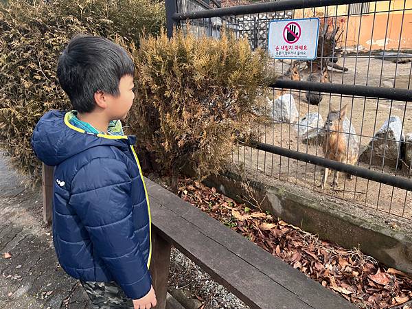 2024二訪 玩旅遊l韓國 清州 動物園/親子一日遊 兒童館