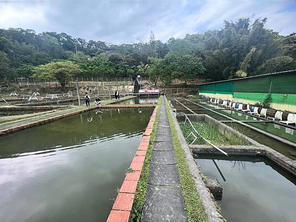 桃園大溪 花鹿秘境--李家摸蜆農場 大推 親子好去處 真的是