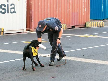 緝菸犬出動！查菸獎勵…毛巾一捲_01