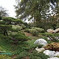 DSC01826-1.jpg