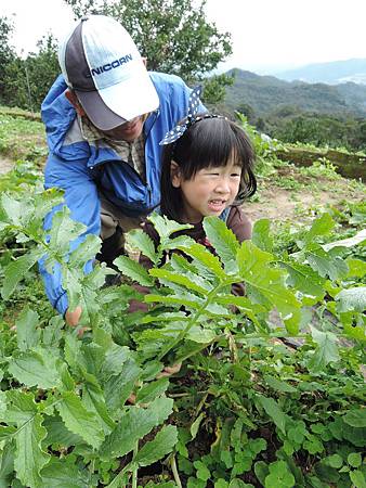 清香 (22).jpg