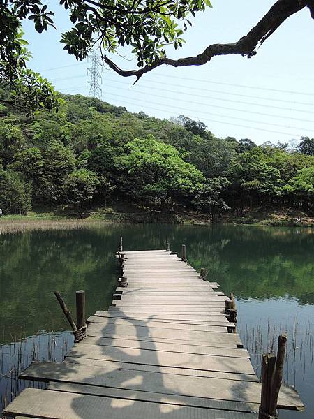 新山夢湖 (11).jpg