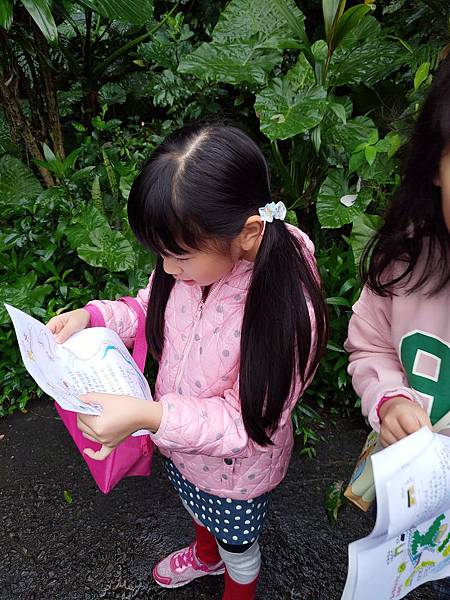 IMG_20190303_102321.jpg IMG_20190303_102321.jpg