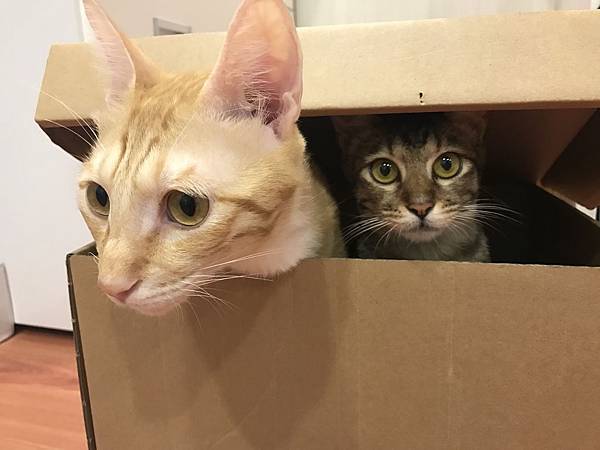 IMG_1432.JPG IMG_1432.JPG