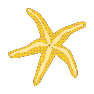 starfish.gif