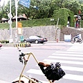 08-10-12_12-06.jpg
