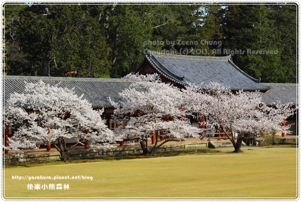 20130401_京阪神_1094