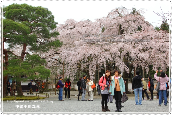 20130402_京阪神_0624