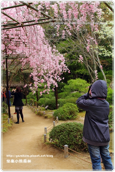 20130402_京阪神_0724