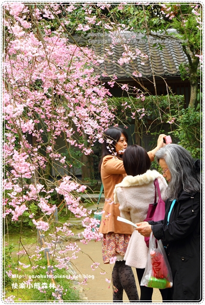 20130402_京阪神_0738