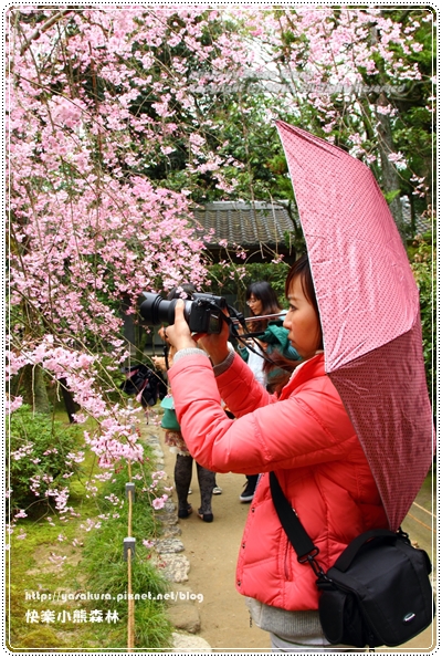 20130402_京阪神_0740