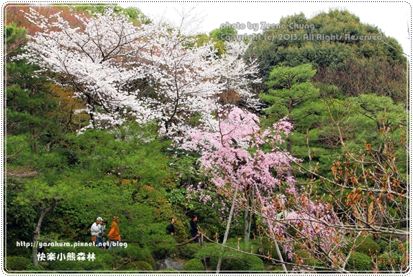 20130402_京阪神_0801