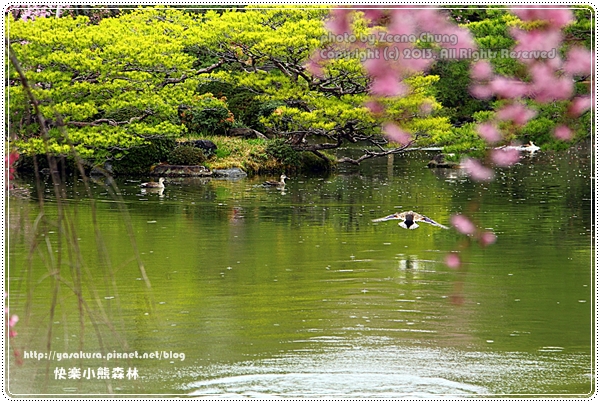 20130402_京阪神_0833