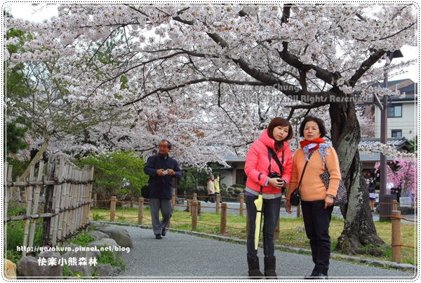 20130403_京阪神_0399