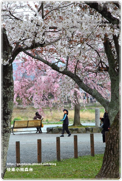 20130403_京阪神_0420