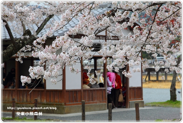 20130403_京阪神_0416