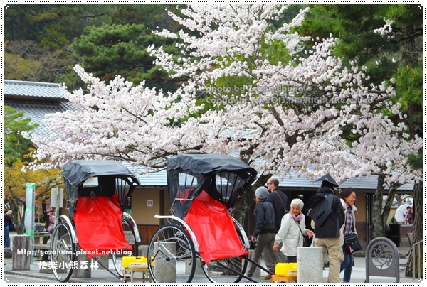 20130403_京阪神_0452