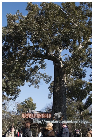 京都自由行280 京都自由行280