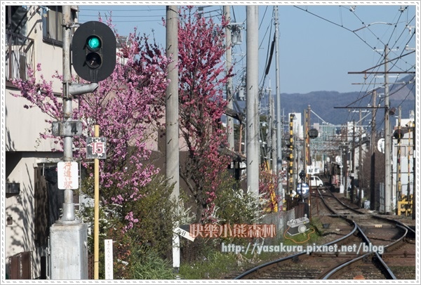 京都自由行264 京都自由行264