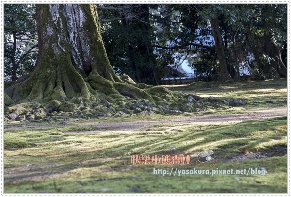 京都自由行268 京都自由行268