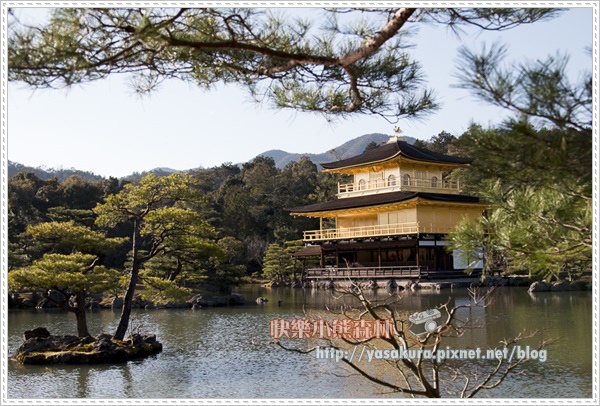 京都自由行282 京都自由行282