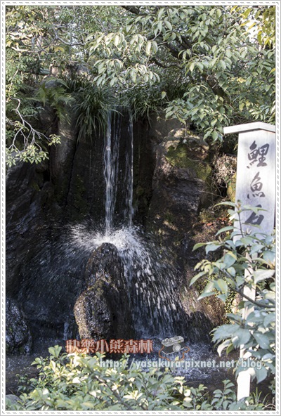 京都自由行293 京都自由行293