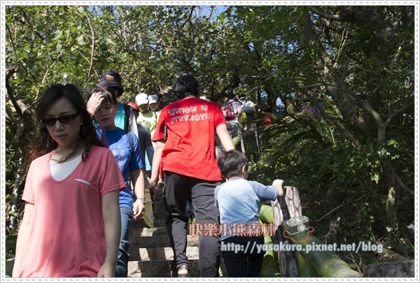 軍艦岩005 軍艦岩005