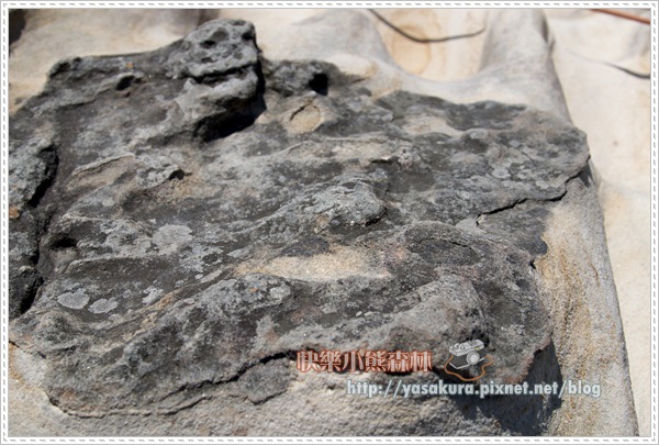 軍艦岩026 軍艦岩026