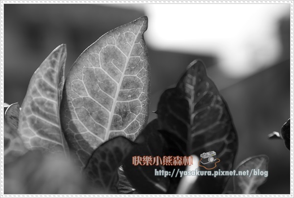 軍艦岩039 軍艦岩039