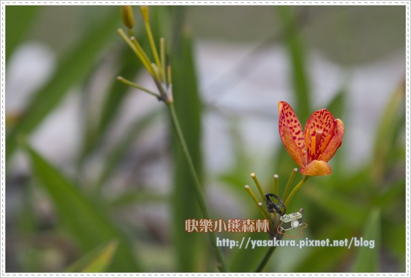 228連假054 228連假054