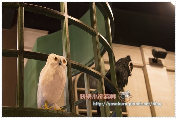 228連假093 228連假093