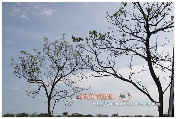 228連假114 228連假114