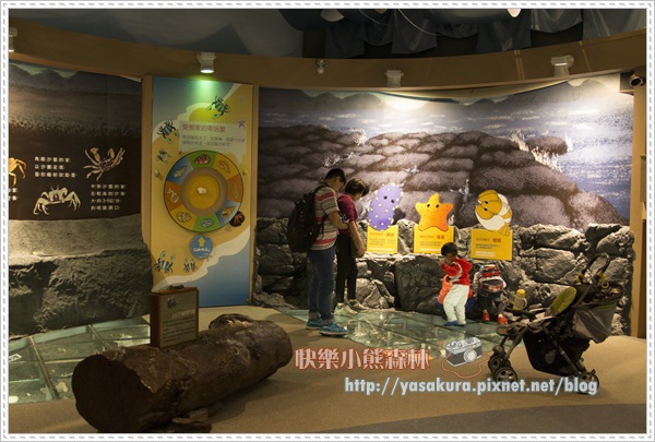 228連假157 228連假157