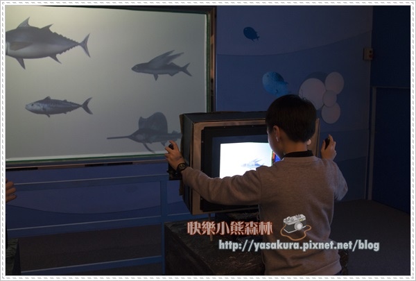 228連假155 228連假155