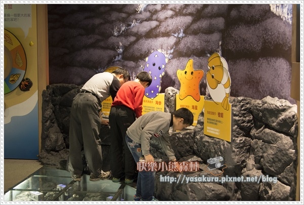 228連假158 228連假158